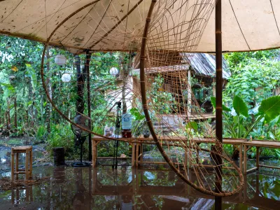 Cover image for Bamboo Equilibria