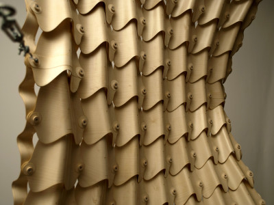 Cover image for Differentiated Tensile Wood-laminate Morphologies