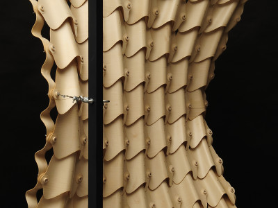 Cover image for Differentiated Tensile Wood-laminate Morphologies