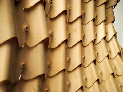 Cover image for Differentiated Tensile Wood-laminate Morphologies