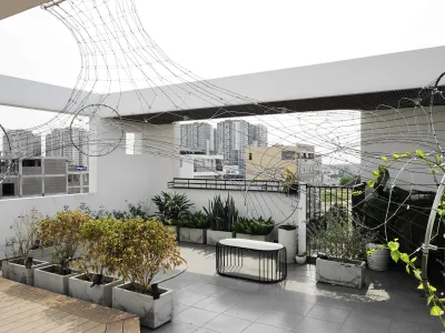 Cover image for Green Mesh II